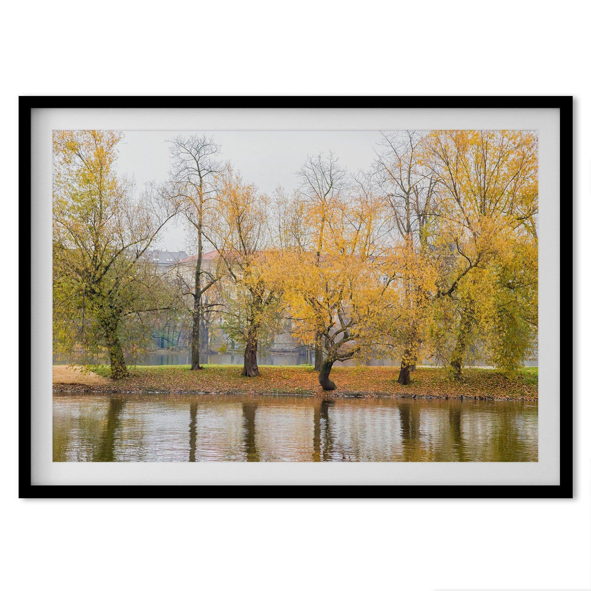 A fine art unframed or framed fall print from Prague featuring beautiful colorful trees with foliage on the canal.