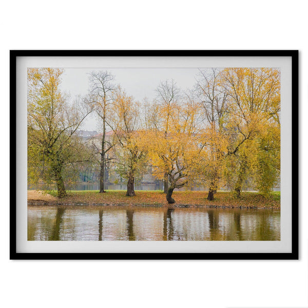 A fine art unframed or framed fall print from Prague featuring beautiful colorful trees with foliage on the canal.