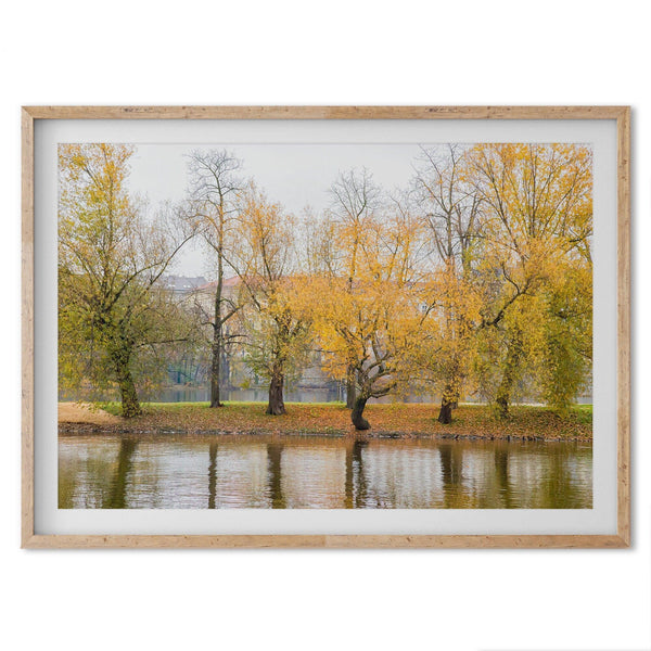 A fine art unframed or framed fall print from Prague featuring beautiful colorful trees with foliage on the canal.