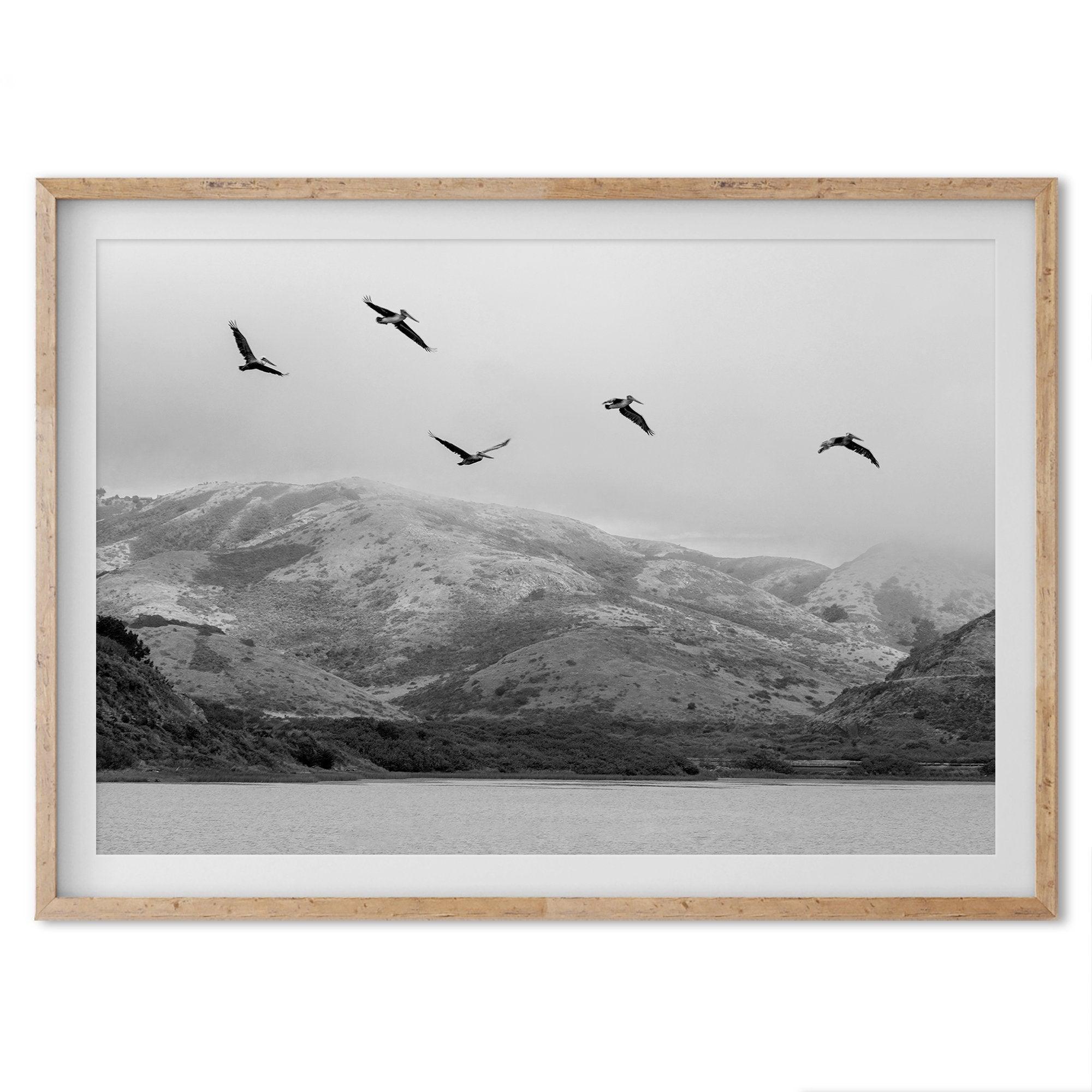 A Fine art black and white beach print of a California beach lagoon with foggy coastal mountains, and pelicans in flight - modern coastal wall art for beach house decor