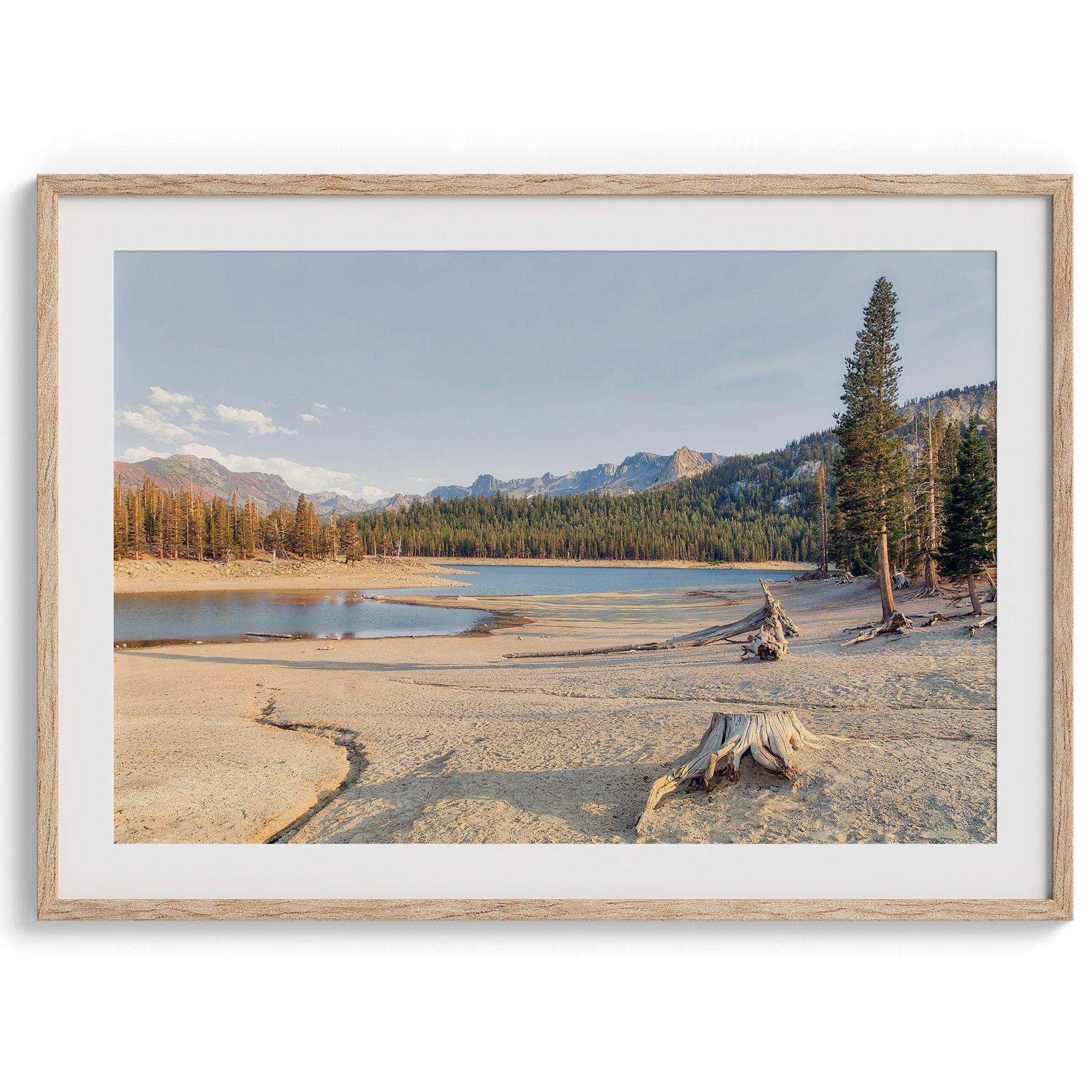 A framed lake print capturing the unique landscape of Horseshoe Lake in the Mammoth Lakes area. This Pacific Northwest wall art showcases the barren ground around the lake and the lush forests and majestic mountains of the Eastern Sierra region.