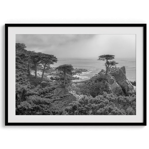 A fine art coastal black and white print showcasing a lone cypress overlooking the ocean in 17 mile drive near Monterey, California. This ocean wall art is available framed or unframed.
