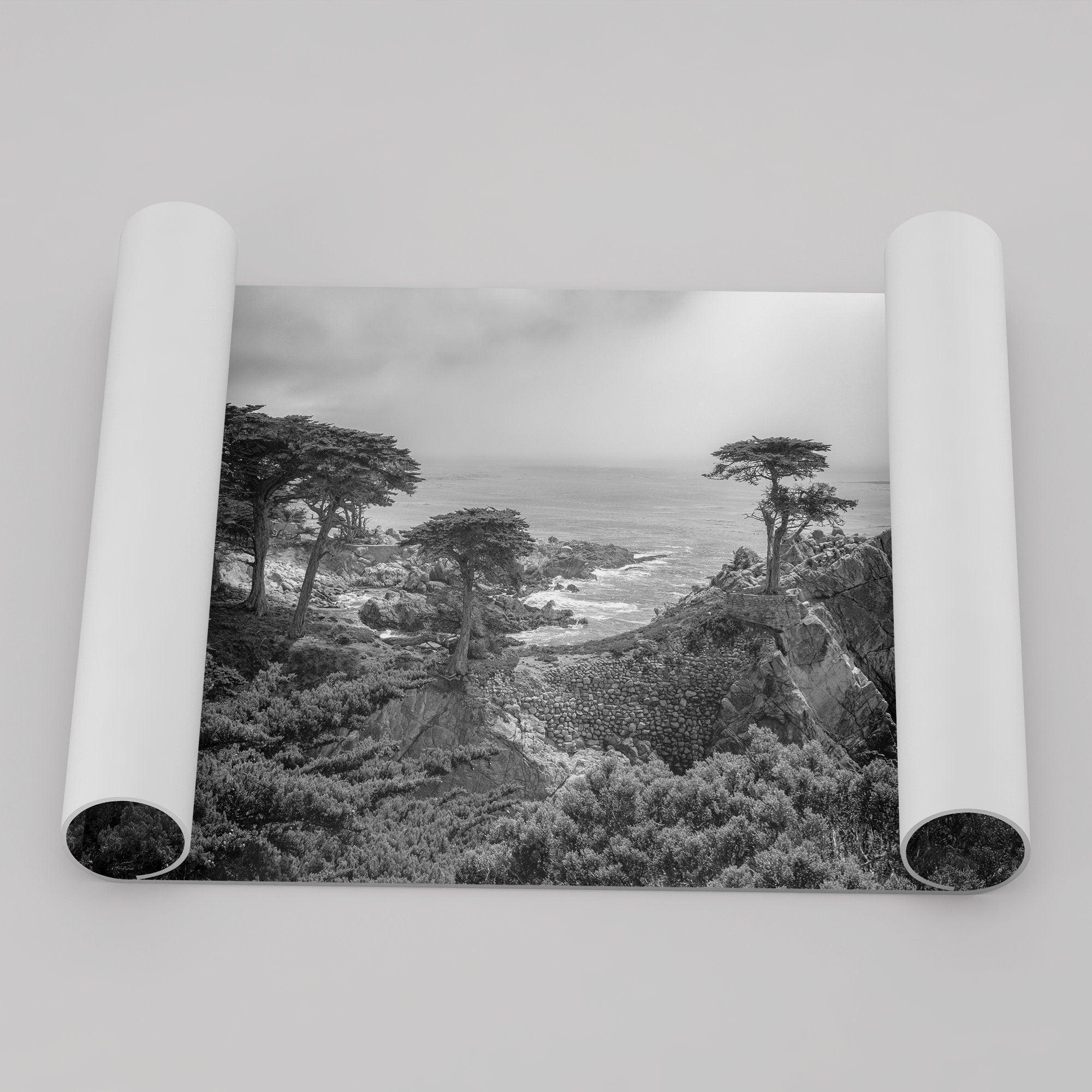 A fine art coastal black and white print showcasing a lone cypress overlooking the ocean in 17 mile drive near Monterey, California. This ocean wall art is available framed or unframed.