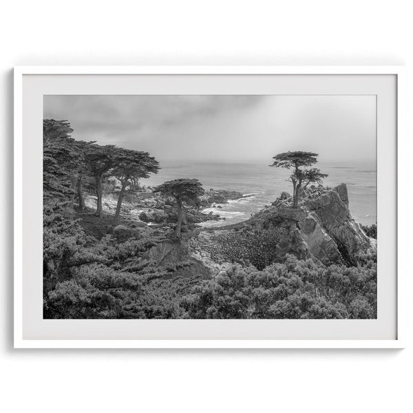 A fine art coastal black and white print showcasing a lone cypress overlooking the ocean in 17 mile drive near Monterey, California. This ocean wall art is available framed or unframed.