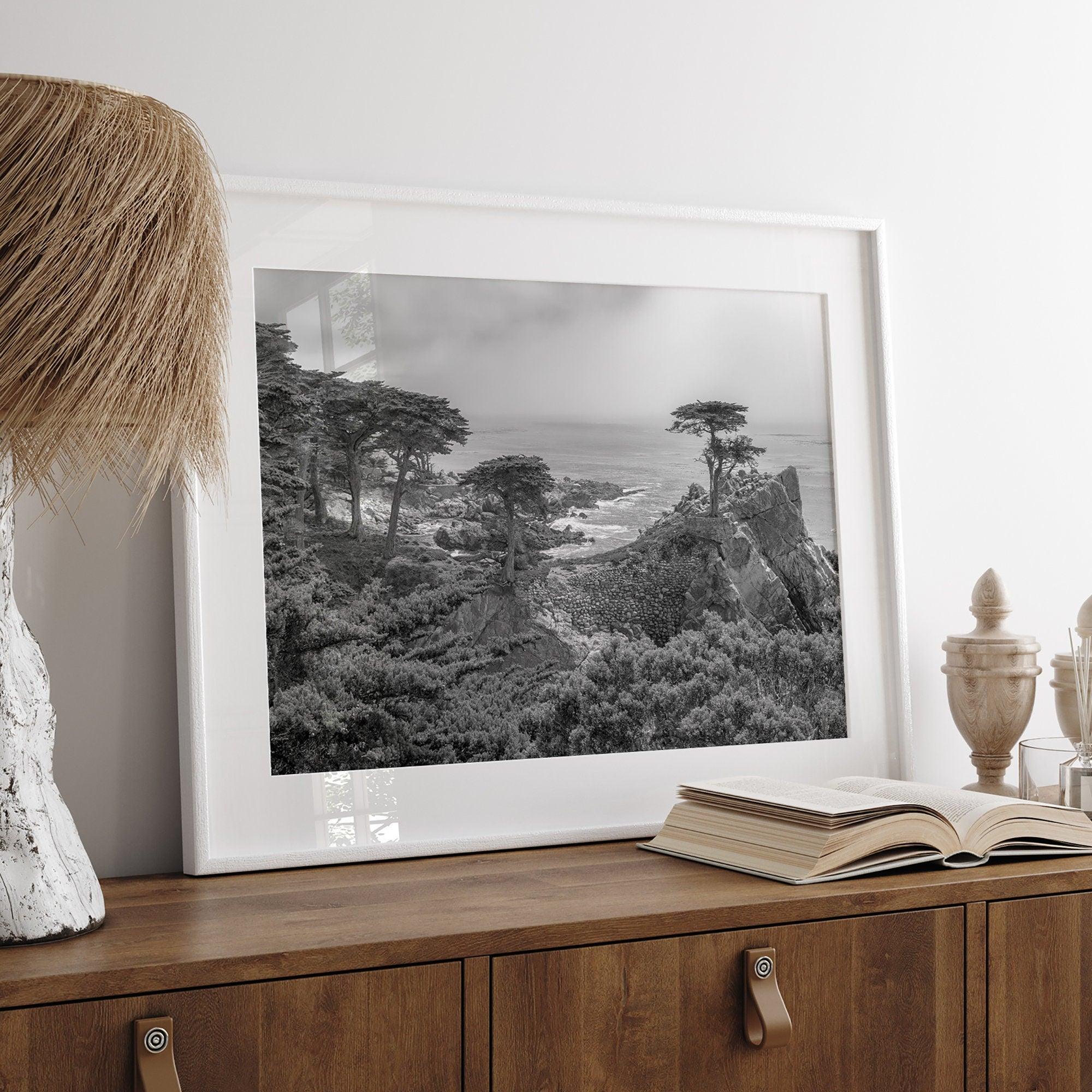 A fine art coastal black and white print showcasing a lone cypress overlooking the ocean in 17 mile drive near Monterey, California. This ocean wall art is available framed or unframed.