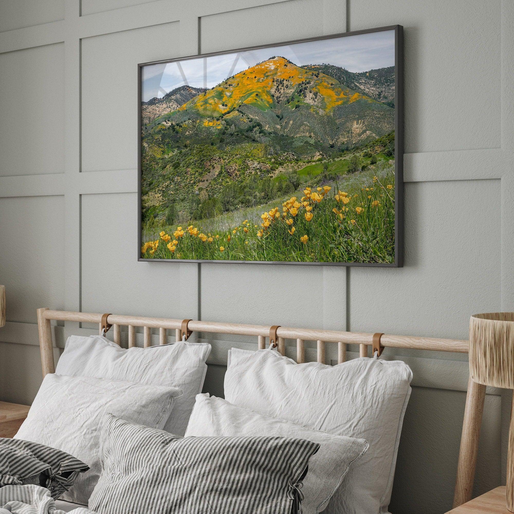 A fine art flower mountain print showing an awe-inspiring Poppy bloom on Figueroa Mountain in Californi.