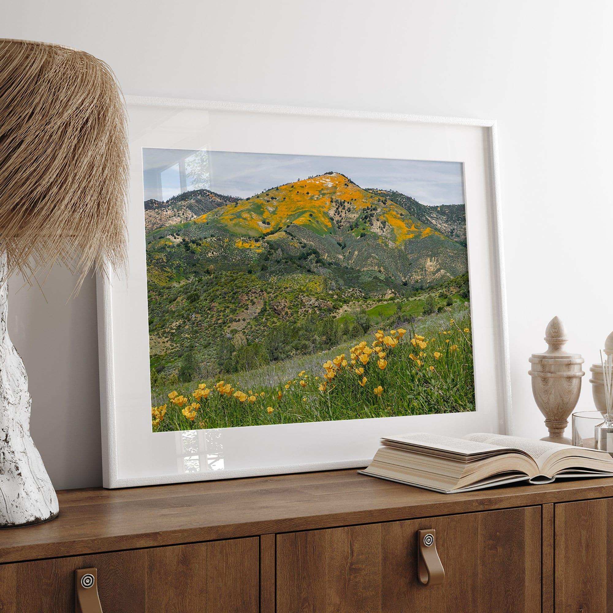 A fine art flower mountain print showing an awe-inspiring Poppy bloom on Figueroa Mountain in Californi.