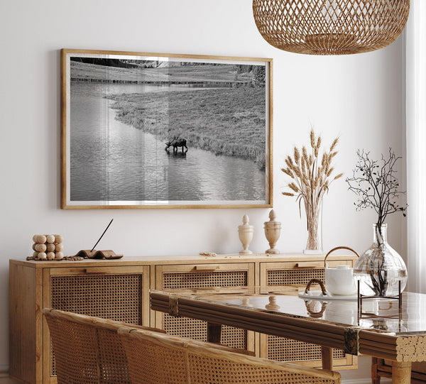 Capture the spirit of Rocky Mountain National Park with this black and white fine art Moose photo print. A majestic Moose stands drinking from the valley river. A timeless nature wall art that transports you to the calming beauty of Colorado.