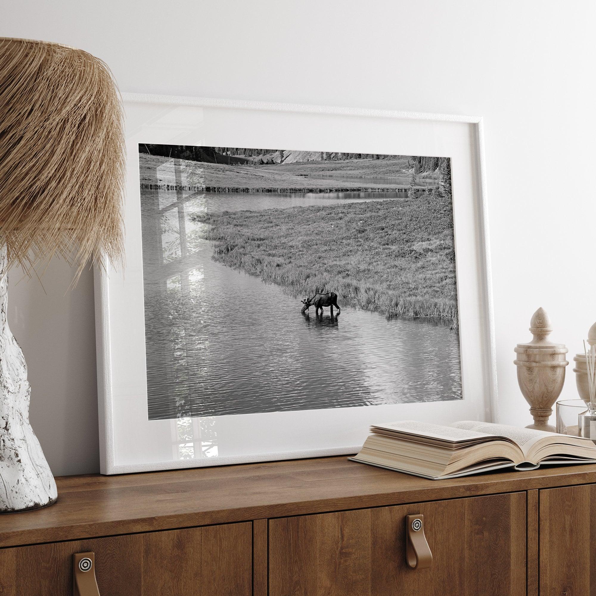 Capture the spirit of Rocky Mountain National Park with this black and white fine art Moose photo print. A majestic Moose stands drinking from the valley river. A timeless nature wall art that transports you to the calming beauty of Colorado.