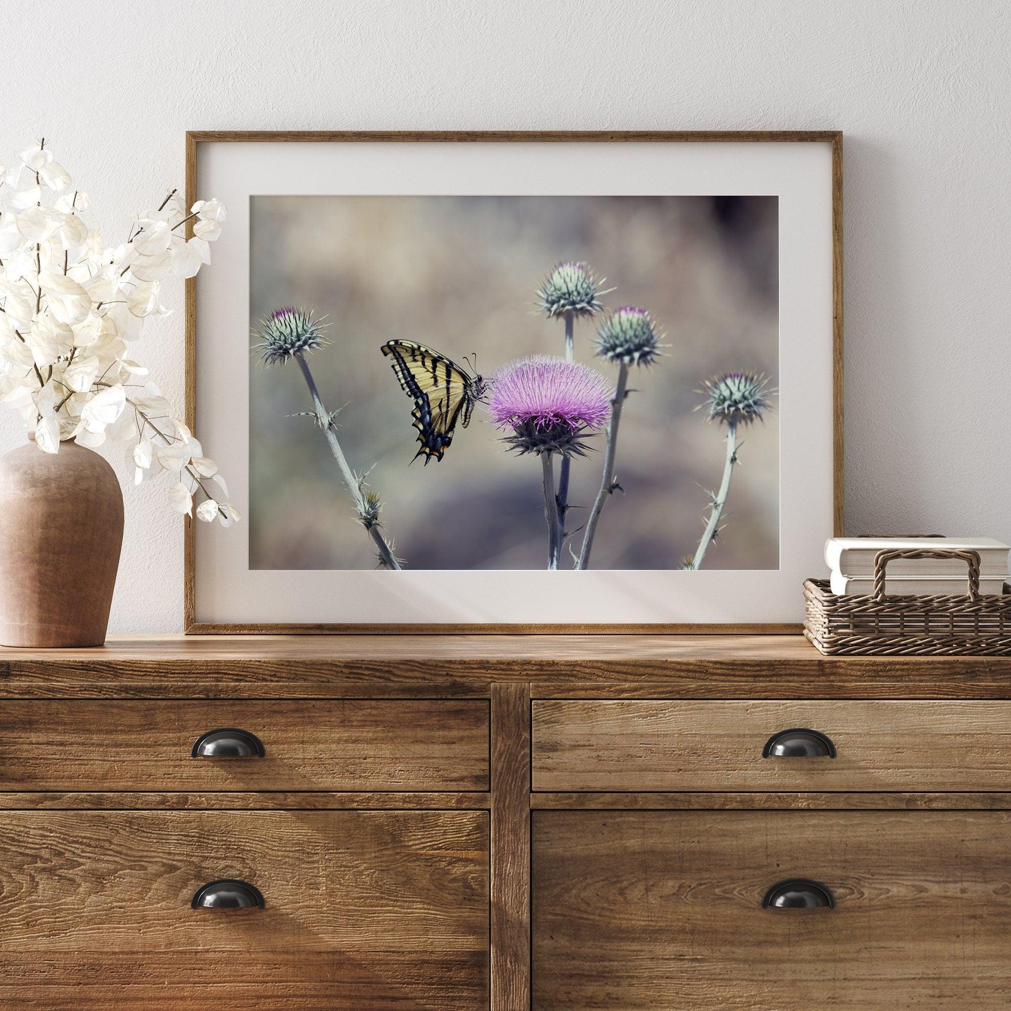 A stunning colorful fine art Butterfly print featuring Arizona's state butterfly - the Two-tailed Swallowtail, sitting on a vibrant purple New Mexico Thistle.