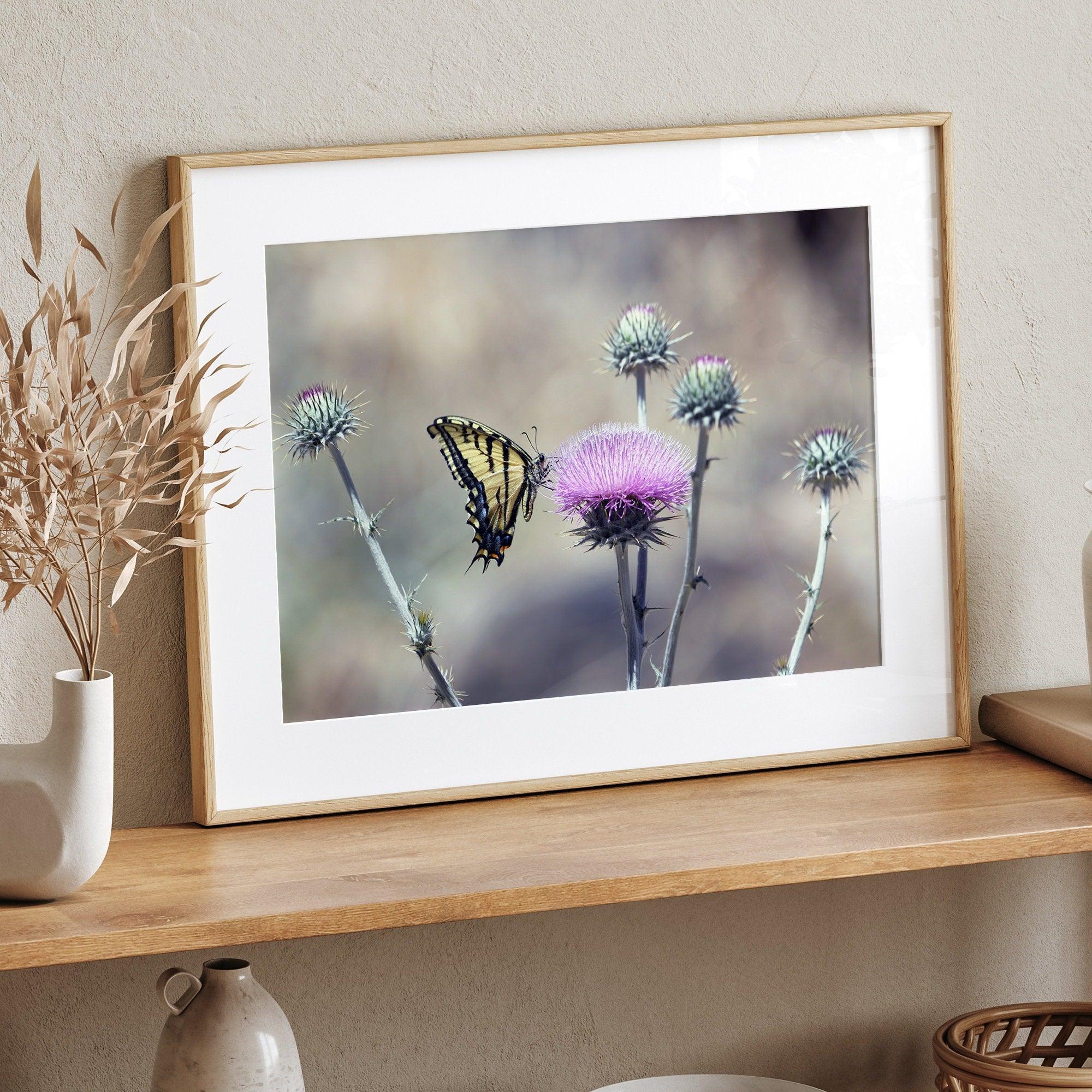 A stunning colorful fine art Butterfly print featuring Arizona's state butterfly - the Two-tailed Swallowtail, sitting on a vibrant purple New Mexico Thistle.