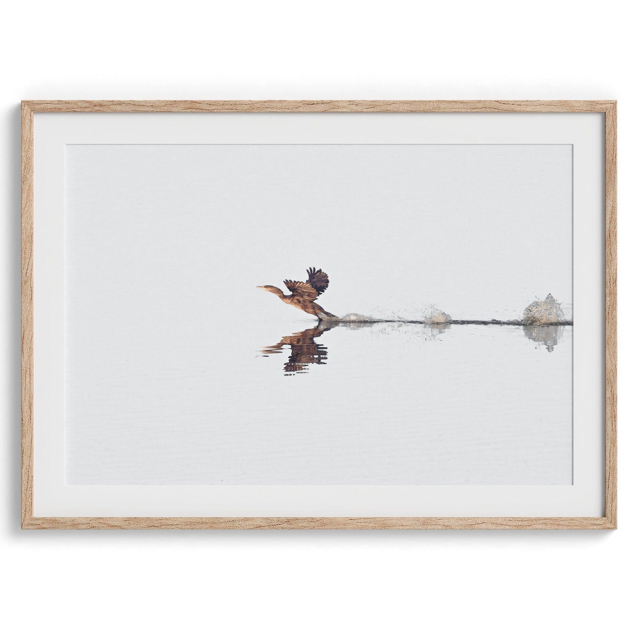 A fine art minimalist wildlife photography print showcasing a bird flying over a lake in Arizona.