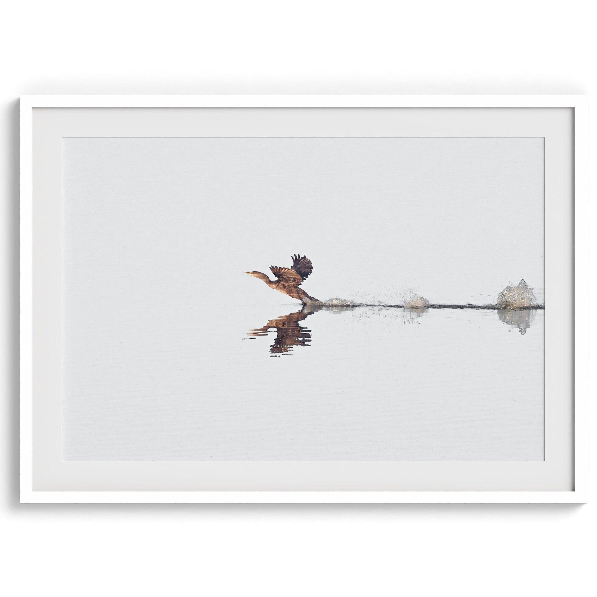 A fine art minimalist wildlife photography print showcasing a bird flying over a lake in Arizona.