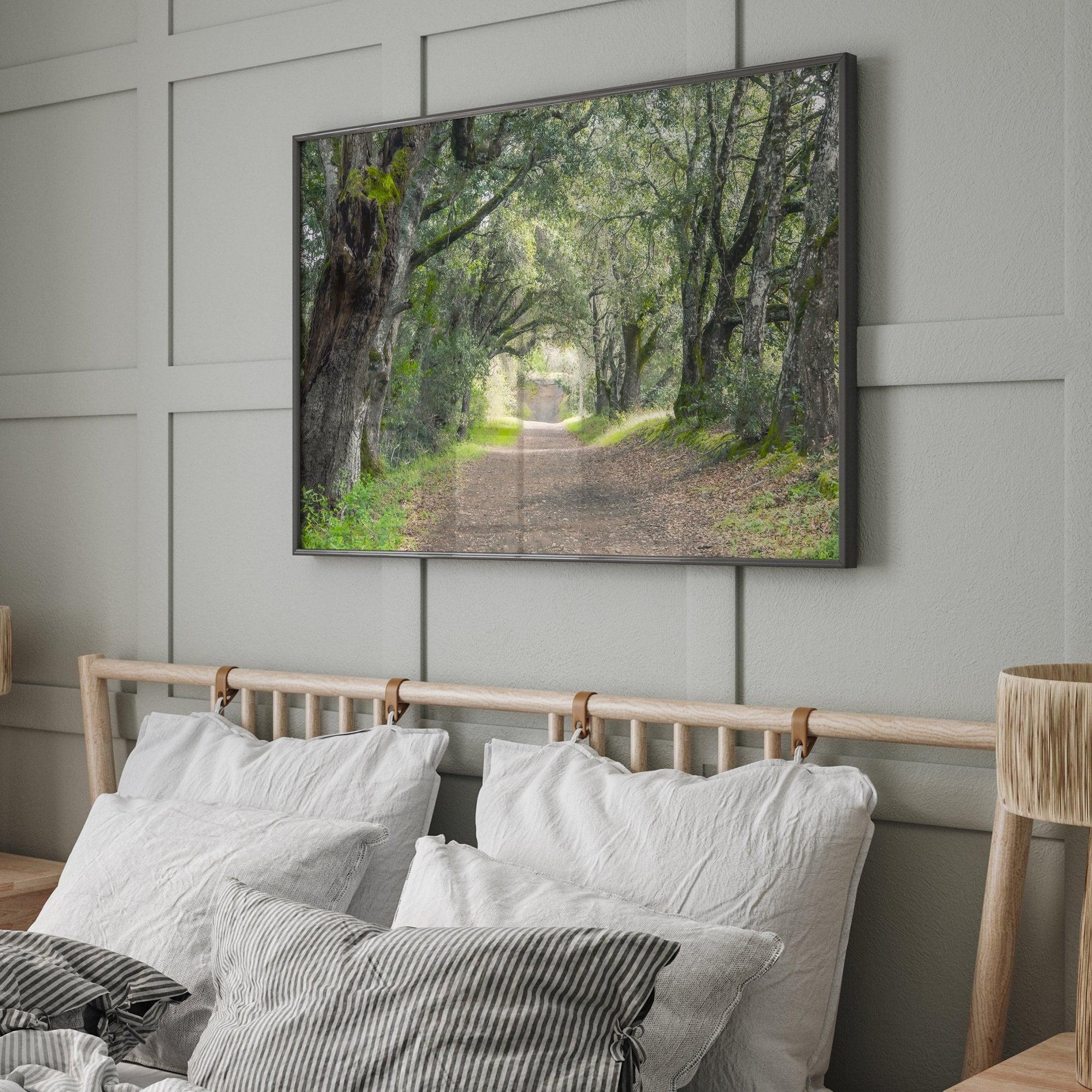 A fine art framed or unframed print of a tree tunnel path through the forest. this inspiring forest wall art with transport you straight into the heart of nature.