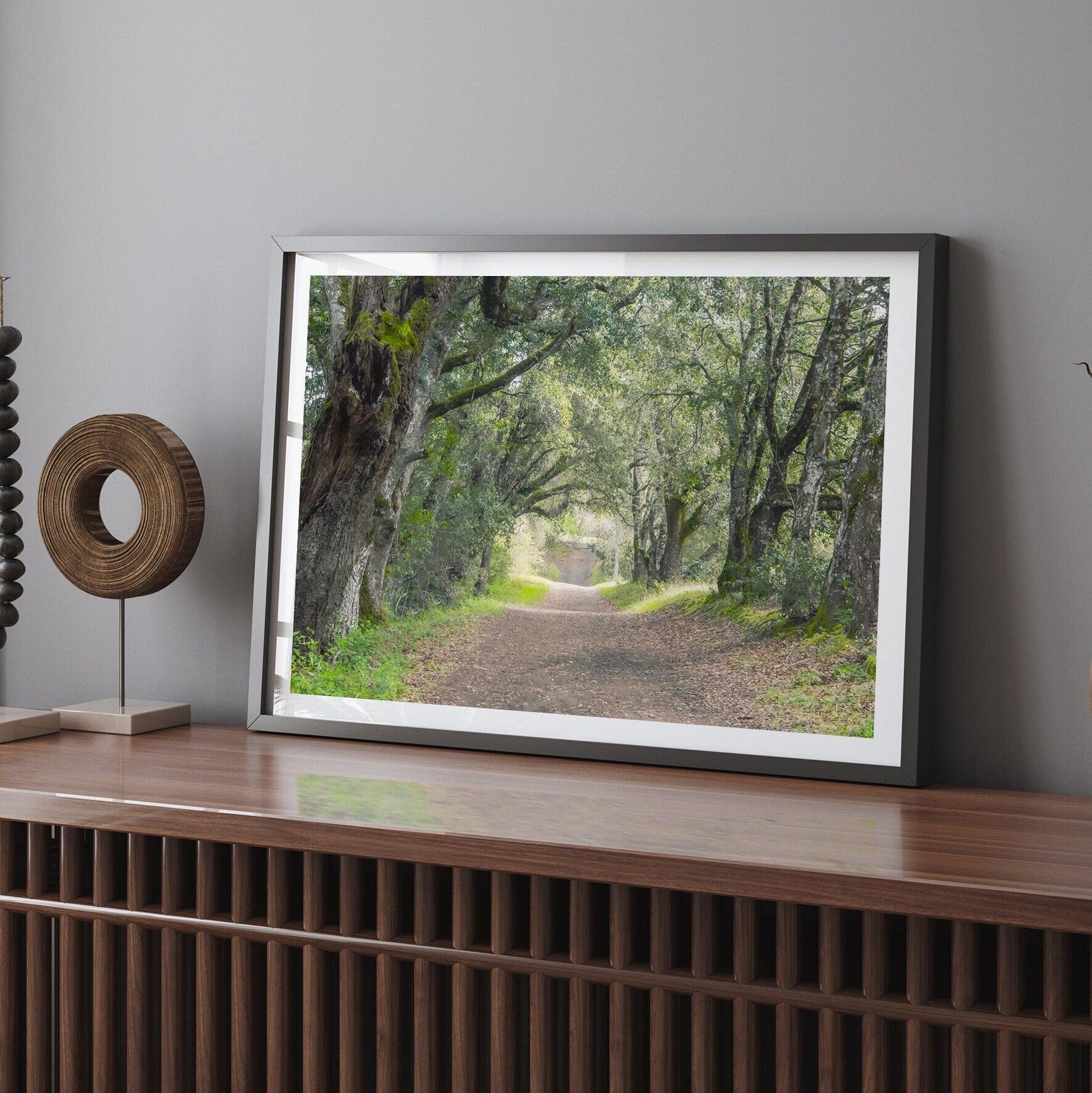 Forest Path Tree Tunnel Fine Art Print - California Nature Forest Photograph, Large Framed Fine Art Photography Wall Art, Woods Home Decor