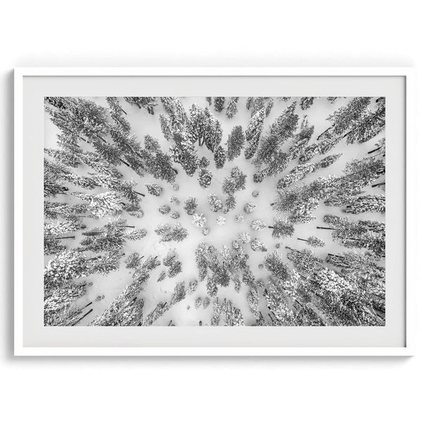 A fine art stunning aerial snowy forest photography print featuring Tahoe National Forest covered in snow shot using drone photography.