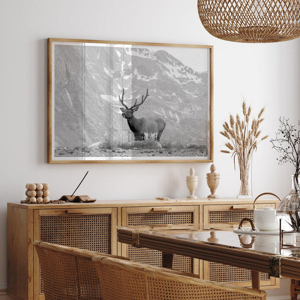 Fine Art Elk Print - Rocky Mountain Wall Art, Black and White Wildlife Photography, Framed Deer Wall Decor, Nature Wall Art for Home Decor