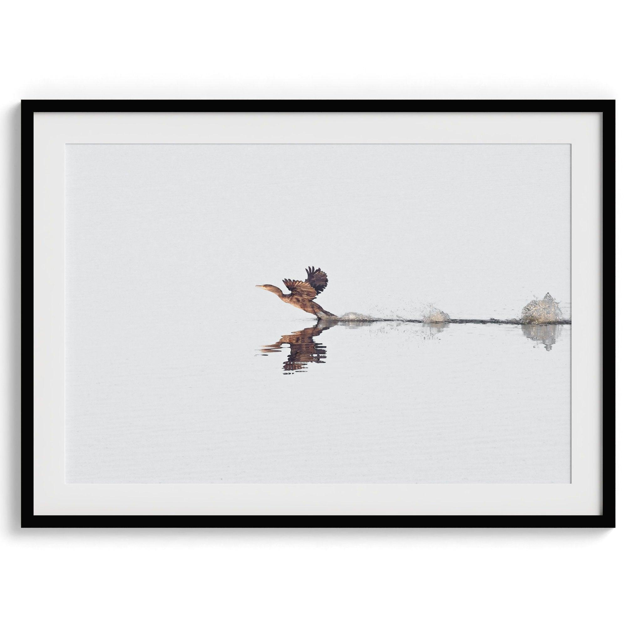 A fine art minimalist wildlife photography print showcasing a bird flying over a lake in Arizona.