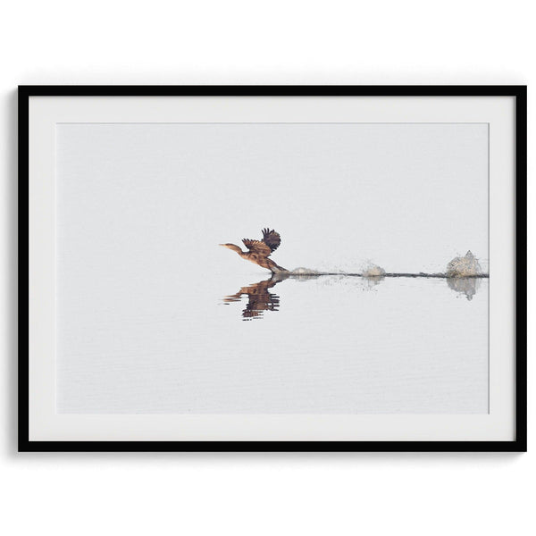 A fine art minimalist wildlife photography print showcasing a bird flying over a lake in Arizona.