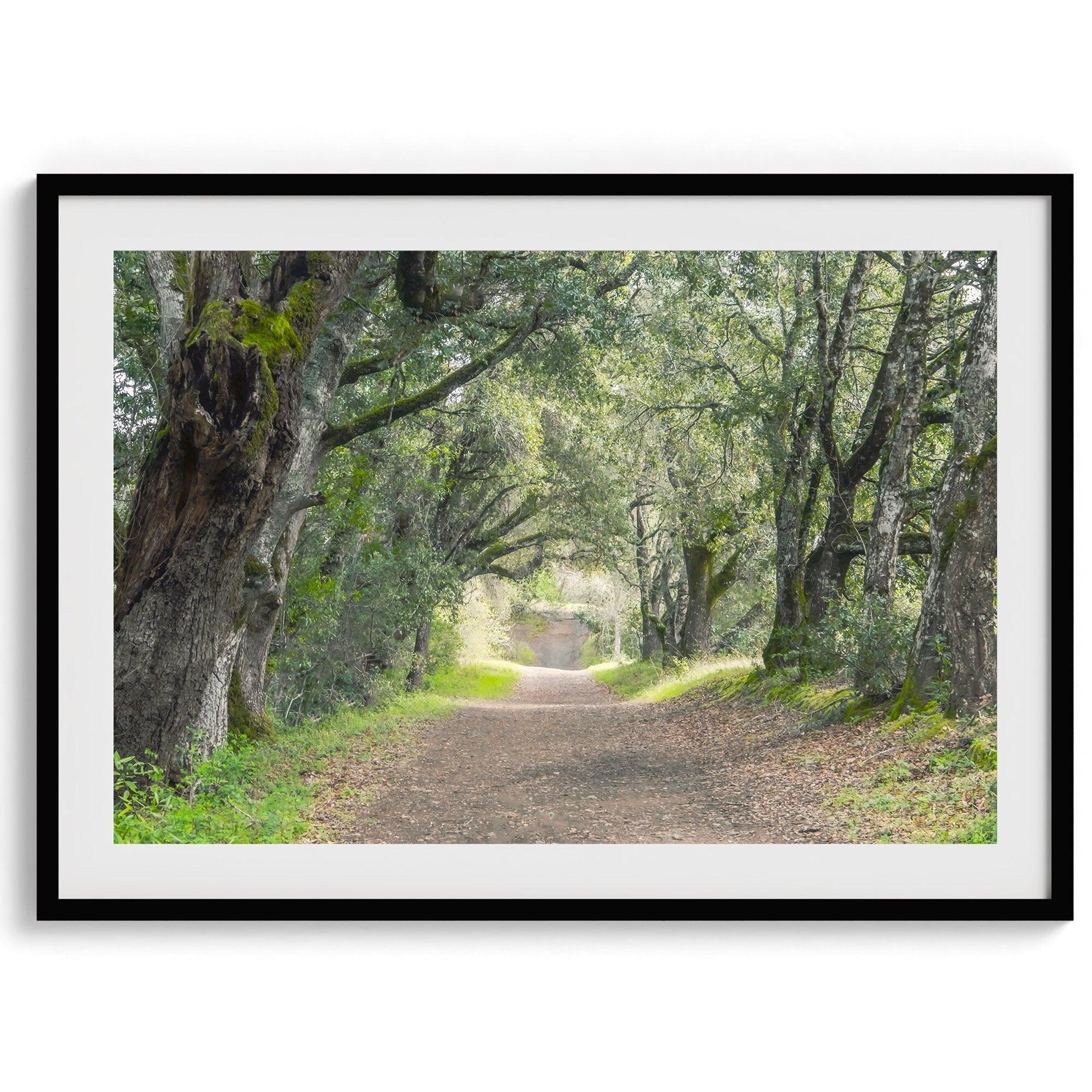 A fine art framed or unframed print of a tree tunnel path through the forest. this inspiring forest wall art with transport you straight into the heart of nature.