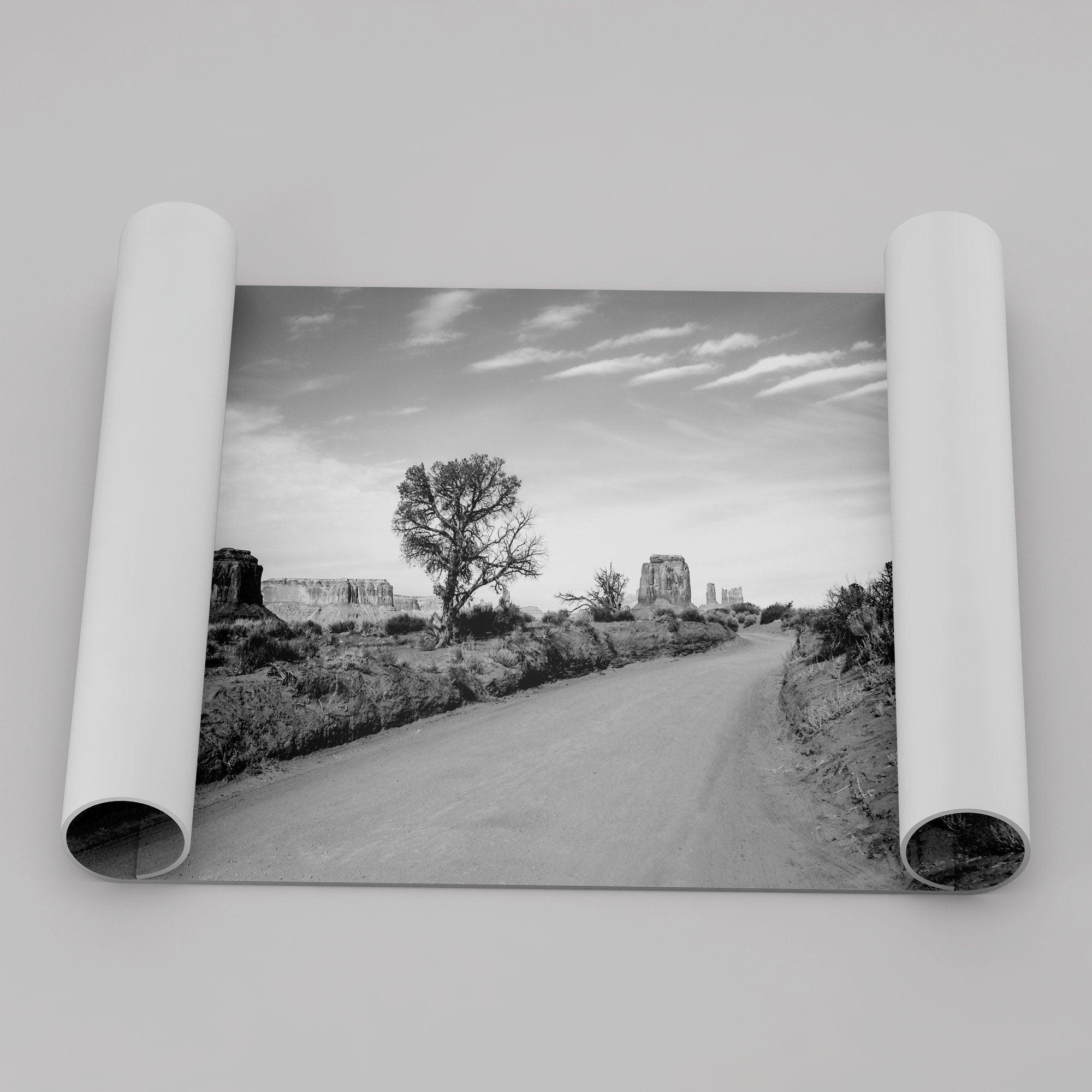 A fine black and white desert print, featuring Monument Valley in the Utah/ Arizona desert. The print shows a road that goes through the towering rocks and unique trees of monument valley.