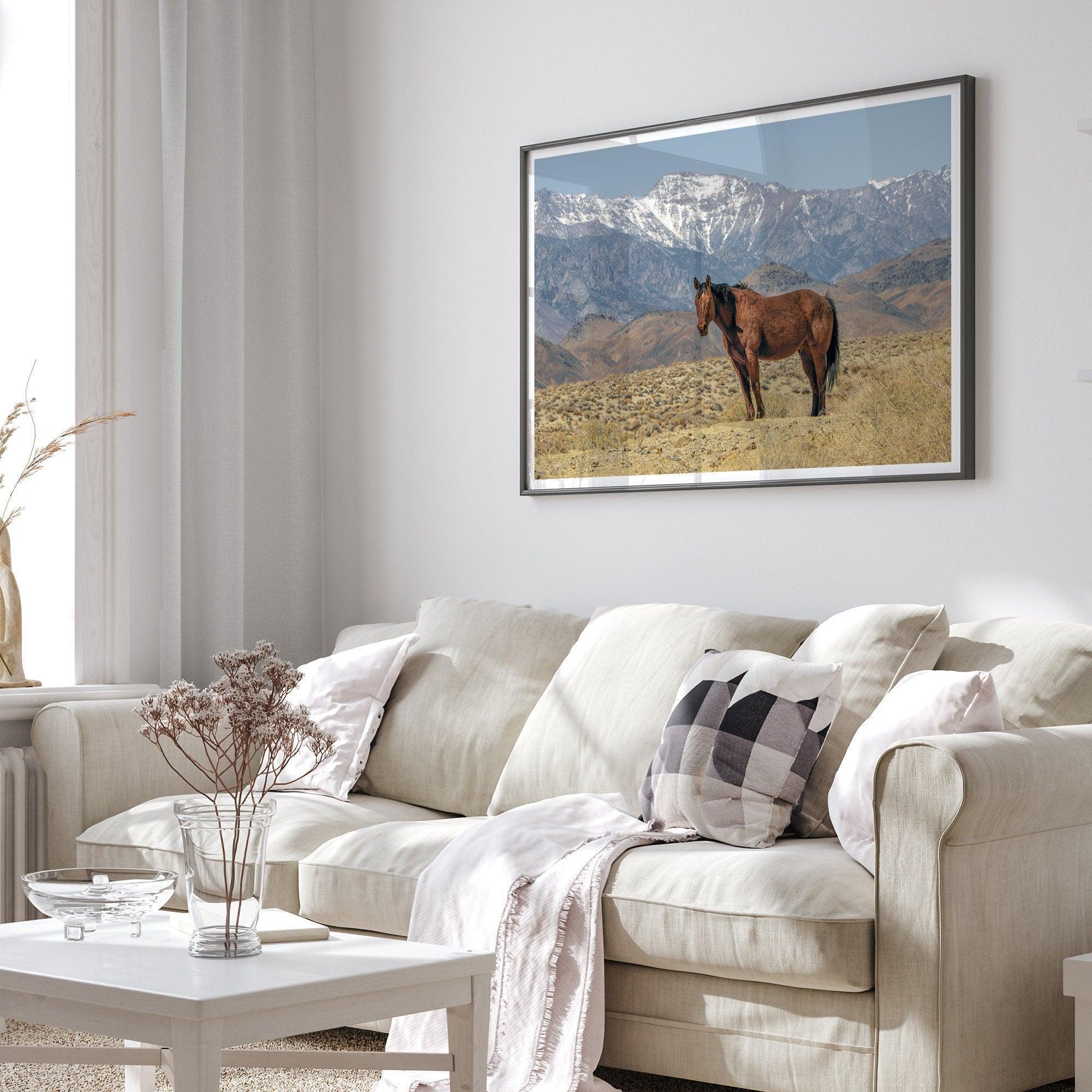 Fine art photograph of a wild horse in Death Valley during winter, with snow-capped mountains and desert landscape in the background.