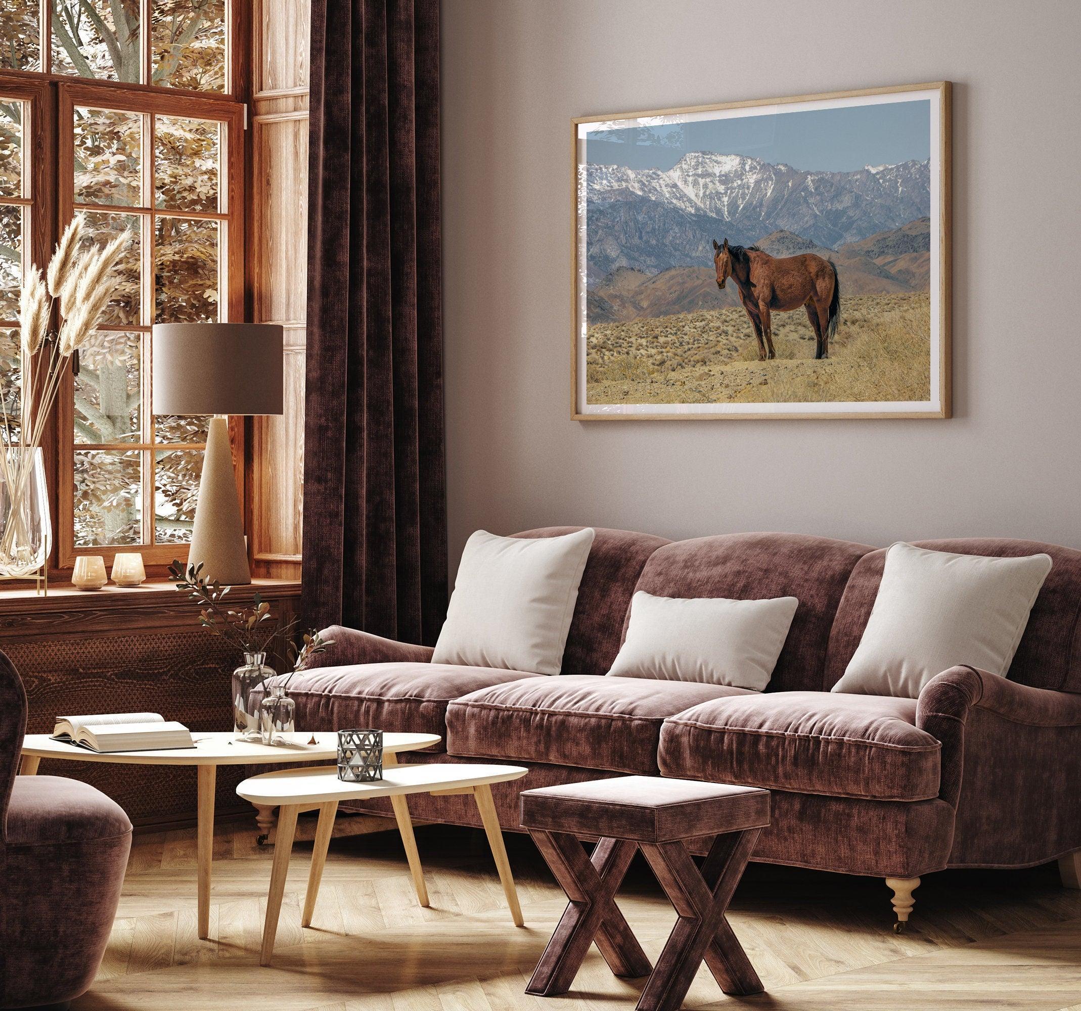 Fine art photograph of a wild horse in Death Valley during winter, with snow-capped mountains and desert landscape in the background.