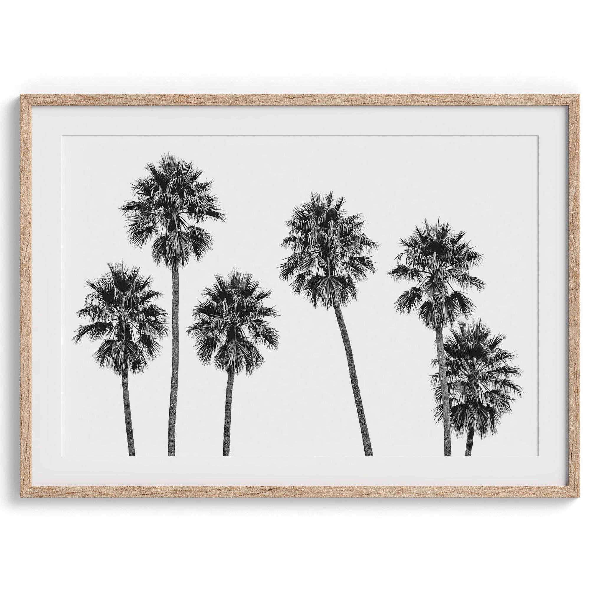 A fine art black and white beach print with a Los Angeles row of palm trees. If you are looking for a minimalist palm tree wall art, this is the one for you.