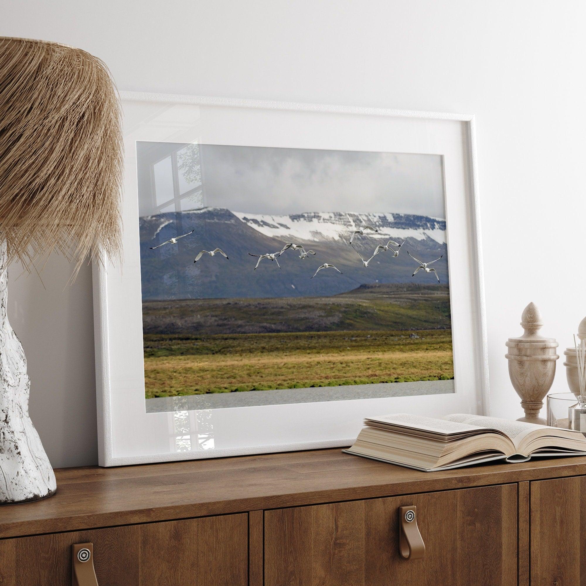 This fine art mountain print features Black-legged Kittiwakes flying over a lake with snow-covered mountains in the backdrop. Taken in Iceland.