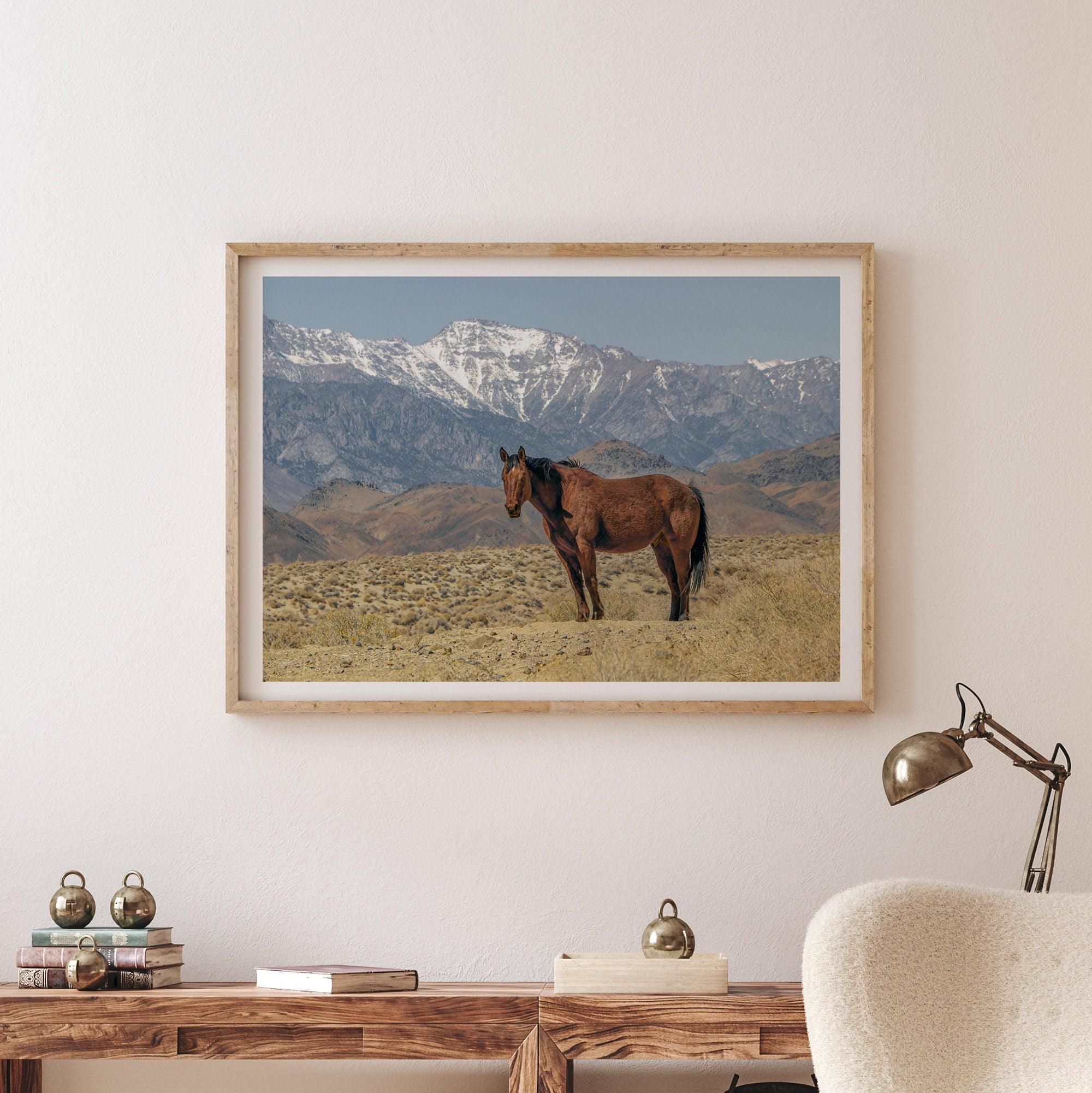 Fine art photograph of a wild horse in Death Valley during winter, with snow-capped mountains and desert landscape in the background.