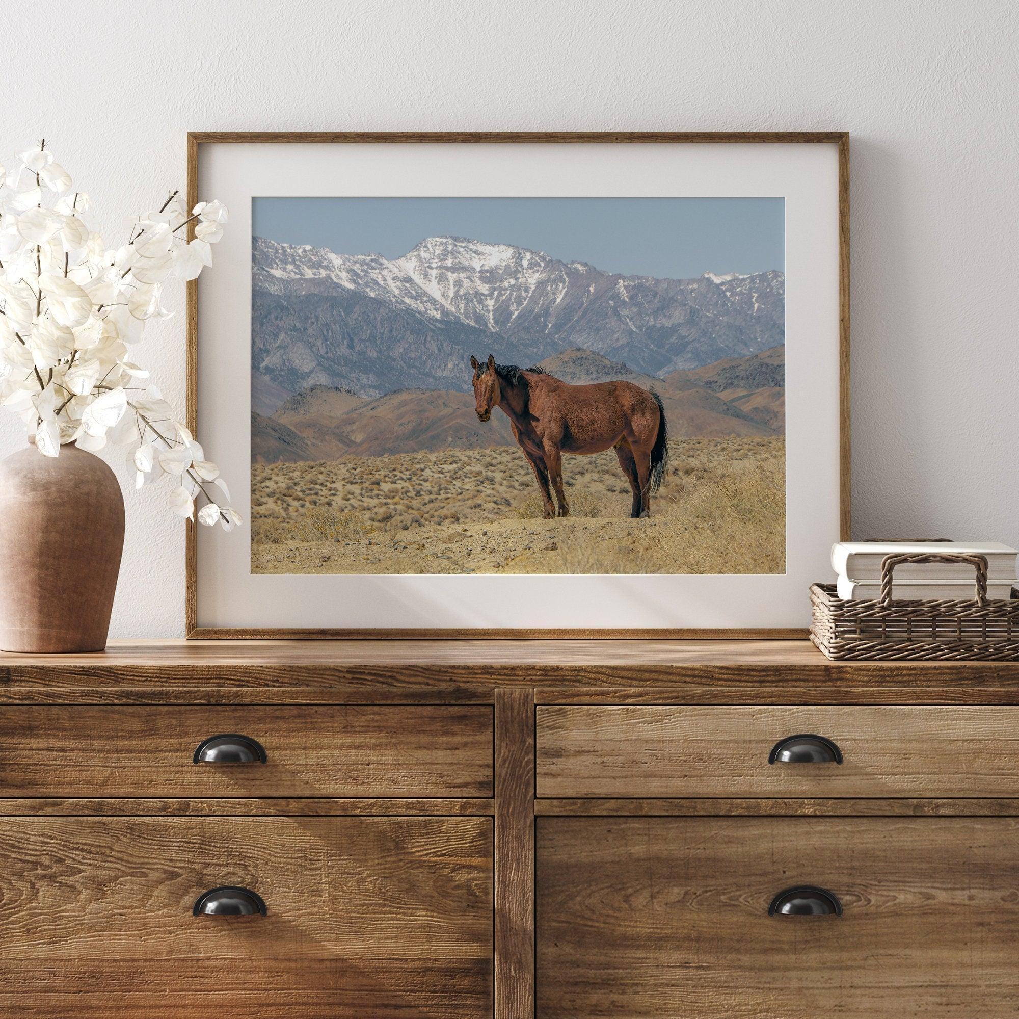 Fine art photograph of a wild horse in Death Valley during winter, with snow-capped mountains and desert landscape in the background.