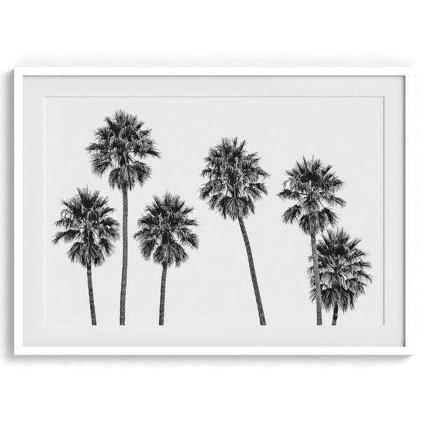 A fine art black and white beach print with a Los Angeles row of palm trees. If you are looking for a minimalist palm tree wall art, this is the one for you.