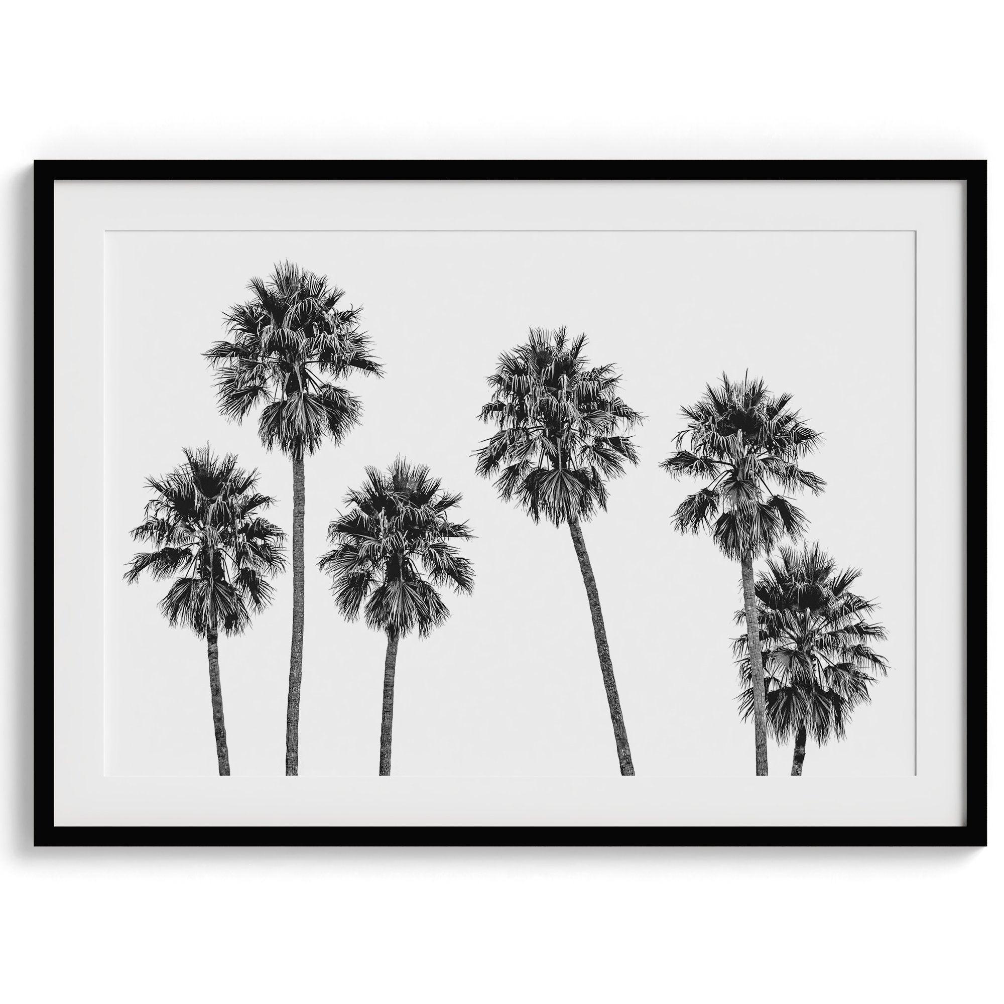 A fine art black and white beach print with a Los Angeles row of palm trees. If you are looking for a minimalist palm tree wall art, this is the one for you.